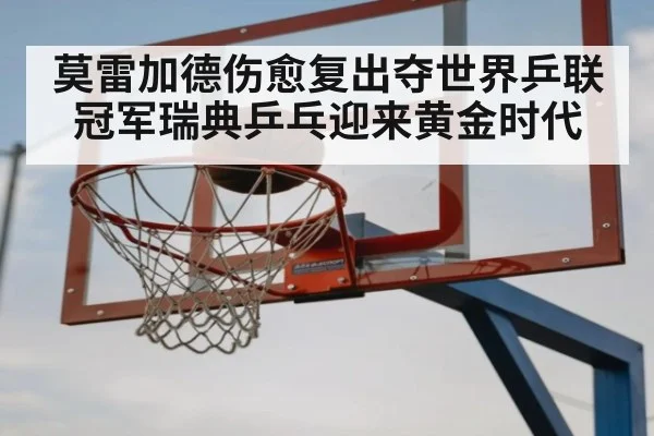 莫雷加德伤愈复出夺世界乒联冠军瑞典乒乓迎来黄金时代
