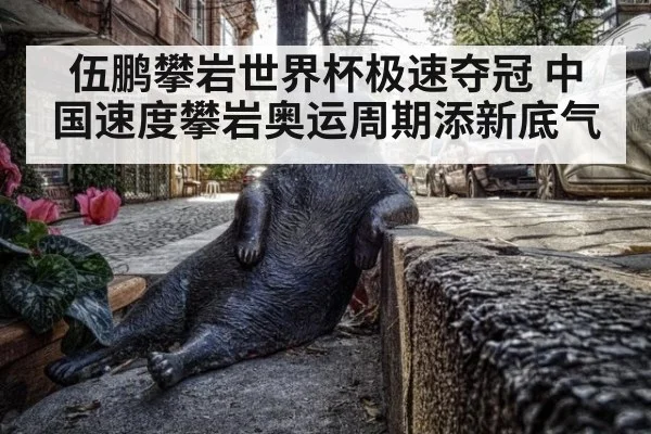 伍鹏攀岩世界杯极速夺冠 中国速度攀岩奥运周期添新底气